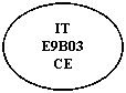 Ovale: IT
E9B03
CE
